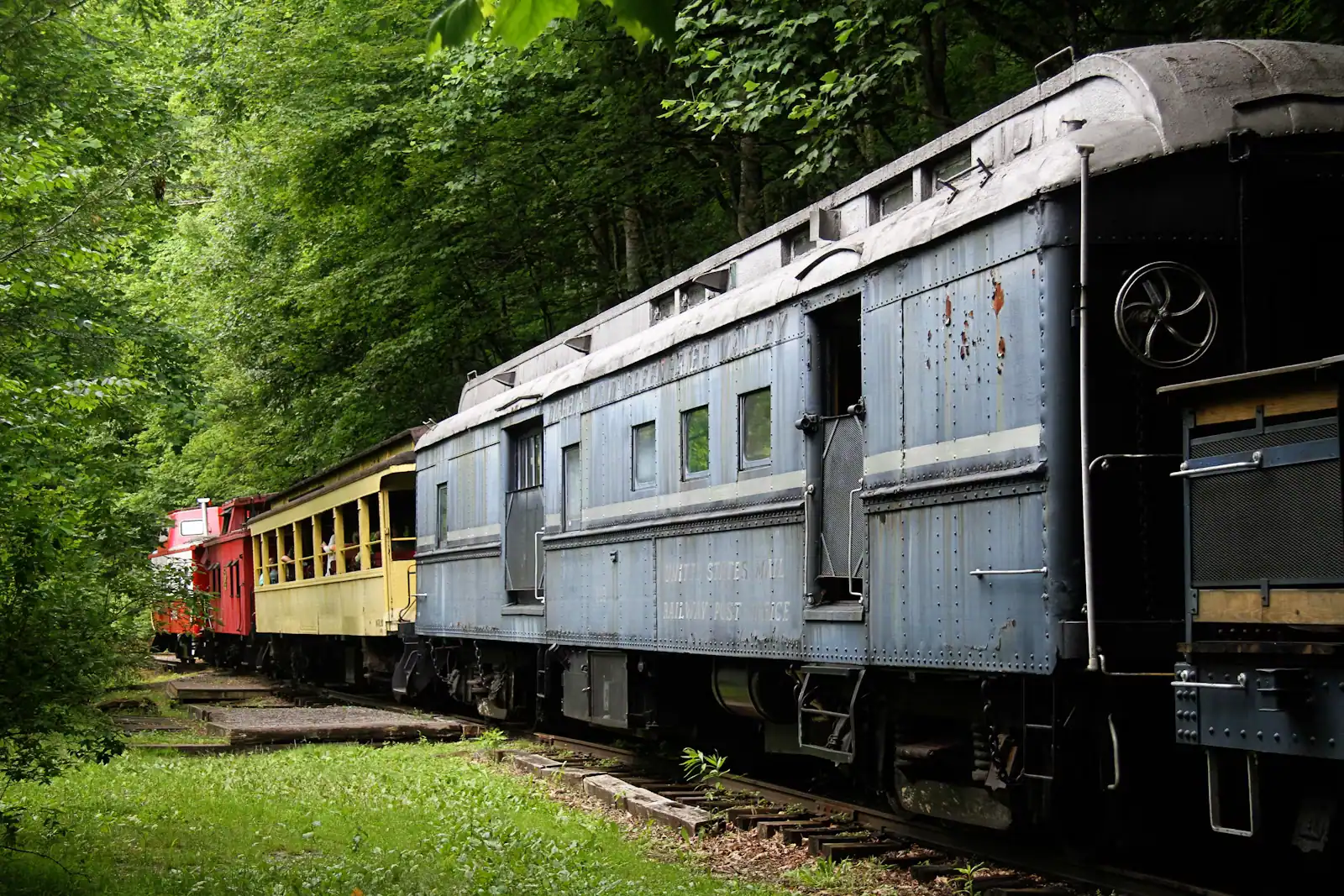 A passenger train in yellow and grey livery running on a single line through summer forest