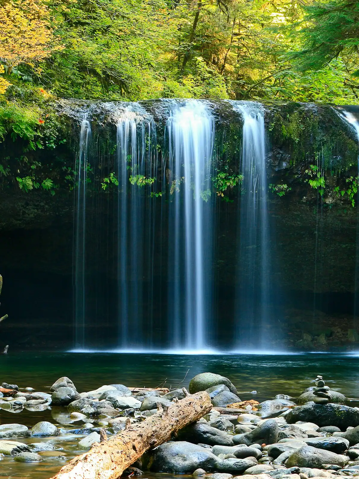Water sliding over stepped rock ledges through dense green forest undergrowth