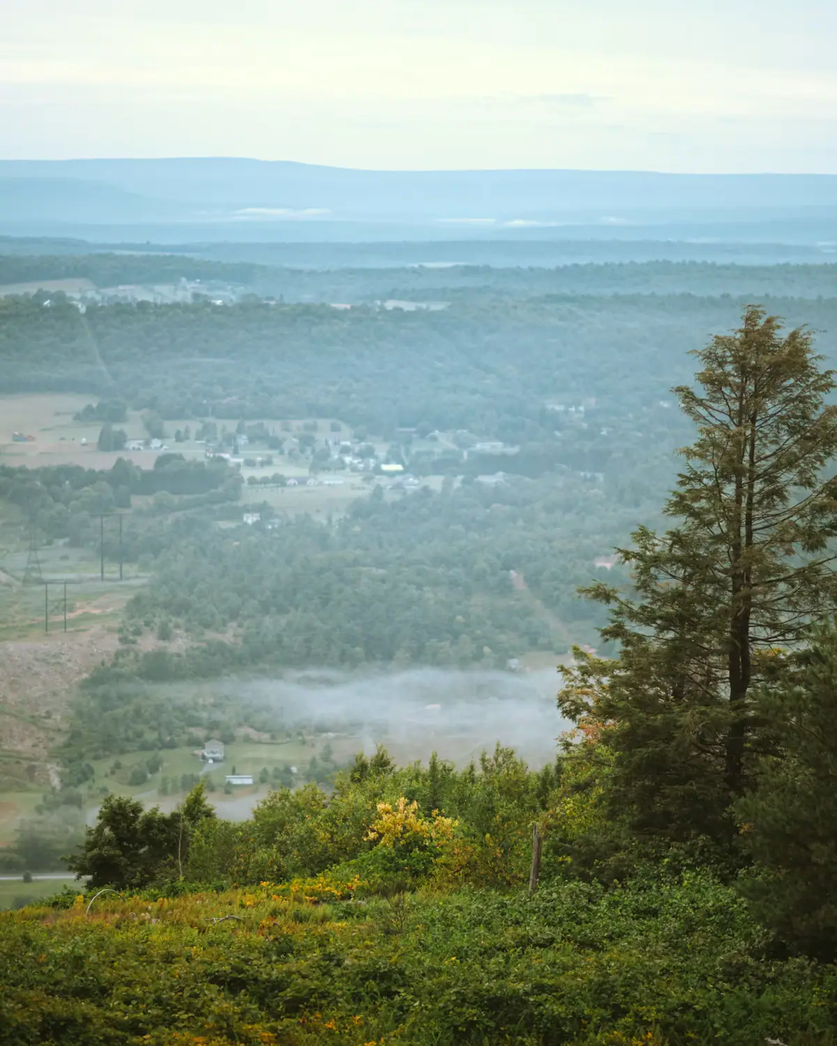 A wooded valley with a small settlement in it seen from high ground, mist lying along the low ground and ridges fading away behind