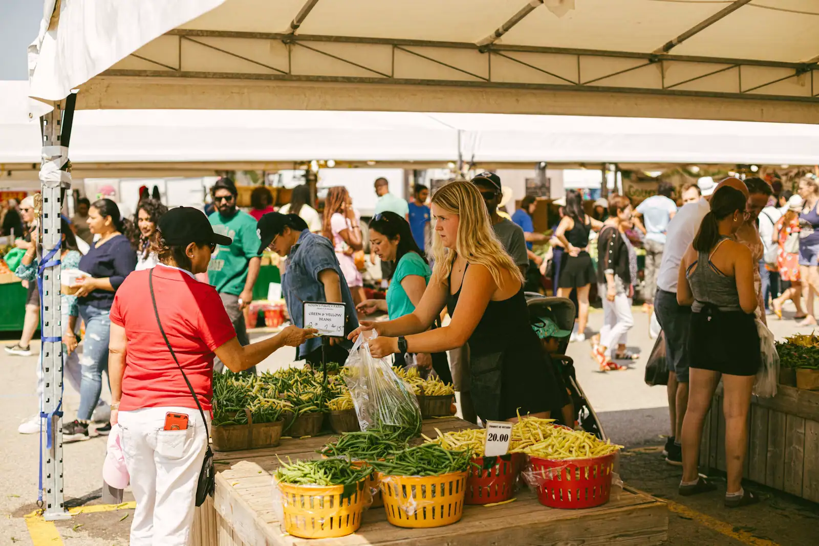 Customers buying from a farm stand under an open canopy, baskets of just-picked produce lined along the counter
