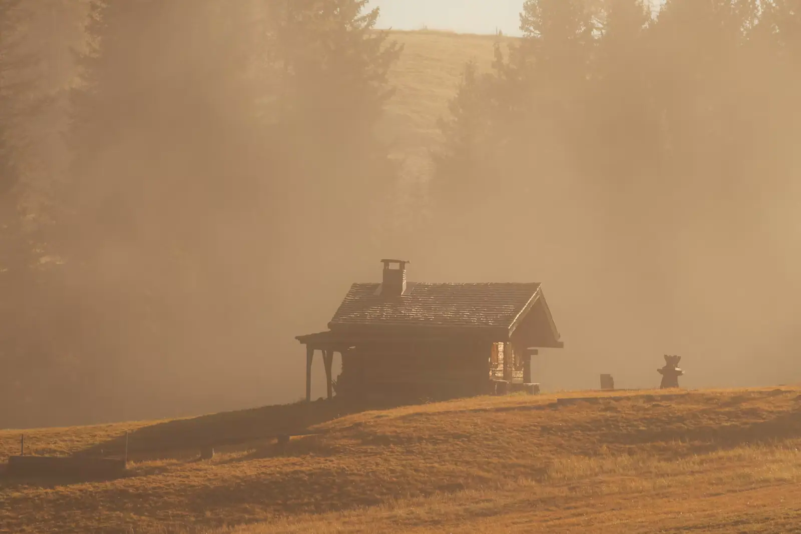 A small timber cabin standing among tall trees in early morning mist