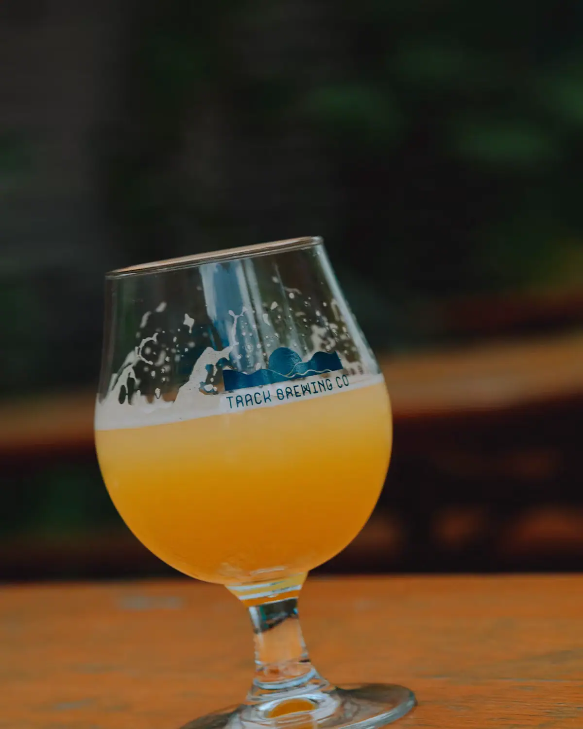 A stemmed glass of hazy unfiltered beer standing on a worn wooden table with dark green foliage behind it